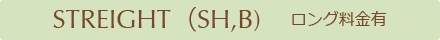 ストレート料金